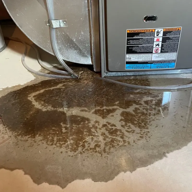 Pipe Burst and Leak Restoration in North Browning, MT