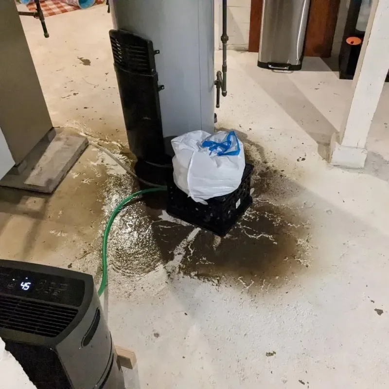 Sewage Backup Cleanup Service in North Browning, MT